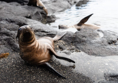 Galapagos Eilanden