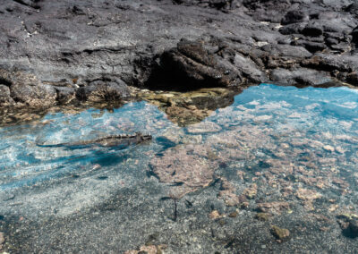 Galapagos Eilanden