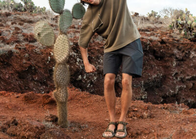 Galapagos Eilanden