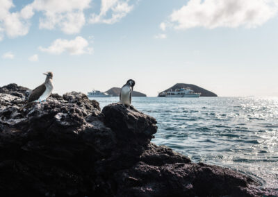 Galapagos Eilanden