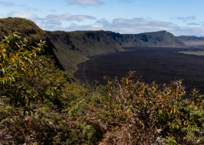Galapagos Eilanden