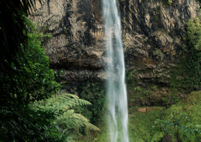 Bridal Veil