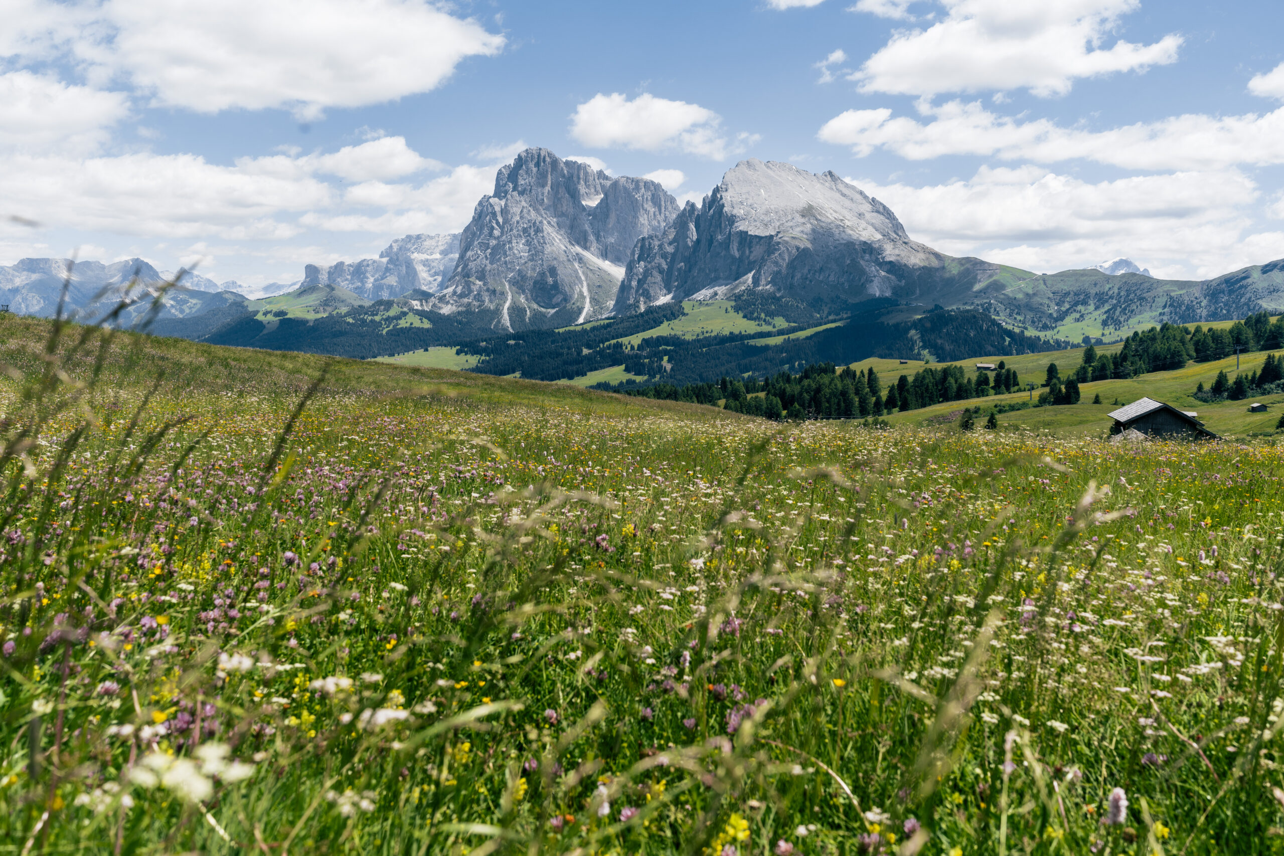 Alpe di Siusi